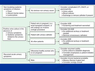 Uti Presentation.pdf Uti | PPT