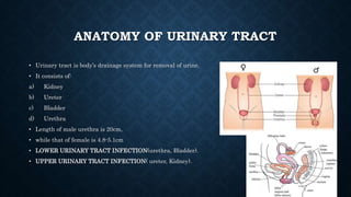 UTI.pptx