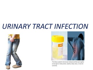URINARY TRACT INFECTION
 