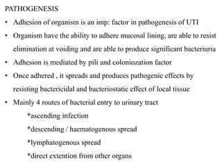 PATHOGENESIS
• Adhesion of organism is an imp: factor in pathogenesis of UTI
• Organism have the ability to adhere mucosal lining, are able to resist
elimination at voiding and are able to produce significant bacteriuria
• Adhesion is mediated by pili and coloniozation factor
• Once adhered , it spreads and produces pathogenic effects by
resisting bactericidal and bacteriostatic effect of local tissue
• Mainly 4 routes of bacterial entry to urinary tract
*ascending infection
*descending / haematogenous spread
*lymphatogenous spread
*direct extention from other organs
 