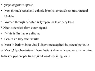 *Lymphatogenous spread
• Men through rectal and colonic lymphatic vessels to prostrate and
bladder
• Women through periuterine lymphatics to urinary tract
*Direct extension from other organs
• Pelvic inflammatory disease
• Genito urinary tract fistulas
o Most infections involving kidneys are acquired by ascending route
o Yeast ,Mycobacterium tuberculosis ,Salmonella species e.t.c..in urine
Indicates pyelonephritis acquired via descending route
 