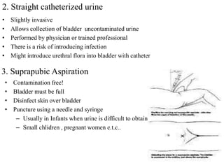 2. Straight catheterized urine
• Slightly invasive
• Allows collection of bladder uncontaminated urine
• Performed by physician or trained professional
• There is a risk of introducing infection
• Might introduce urethral flora into bladder with catheter
3. Suprapubic Aspiration
• Contamination free!
• Bladder must be full
• Disinfect skin over bladder
• Puncture using a needle and syringe
– Usually in Infants when urine is difficult to obtain
– Small chlidren , pregnant women e.t.c..
 