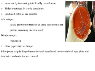 o Inoculate by immersing into freshly passed urine
o Slides are placed in sterile containers
o Incubated colonies are counted
Advantages :
avoid problem of transfer of urine specimen to lab
permit screening in clinic itself
Disadvantage :
expensive
• Filter paper strip technique
Filter paper strip is dipped into urine and transferred to conventional agar plate and
incubated and colonies are counted
 