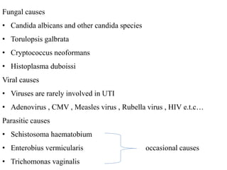 Fungal causes
• Candida albicans and other candida species
• Torulopsis galbrata
• Cryptococcus neoformans
• Histoplasma duboissi
Viral causes
• Viruses are rarely involved in UTI
• Adenovirus , CMV , Measles virus , Rubella virus , HIV e.t.c…
Parasitic causes
• Schistosoma haematobium
• Enterobius vermicularis occasional causes
• Trichomonas vaginalis
 