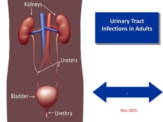 .
Urinary Tract
Infections in Adults
Nov. 2015
 
