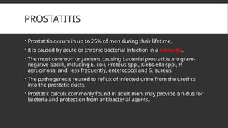PROSTATITIS
 Prostatitis occurs in up to 25% of men during their lifetime,
 it is caused by acute or chronic bacterial infection in a minority.
 The most common organisms causing bacterial prostatitis are gram-
negative bacilli, including E. coli, Proteus spp., Klebsiella spp., P.
aeruginosa, and, less frequently, enterococci and S. aureus.
 The pathogenesis related to reflux of infected urine from the urethra
into the prostatic ducts.
 Prostatic calculi, commonly found in adult men, may provide a nidus for
bacteria and protection from antibacterial agents.
 