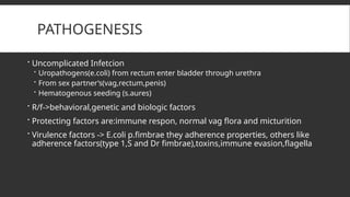 PATHOGENESIS
 Uncomplicated Infetcion
 Uropathogens(e.coli) from rectum enter bladder through urethra
 From sex partner’s(vag,rectum,penis)
 Hematogenous seeding (s.aures)
 R/f->behavioral,genetic and biologic factors
 Protecting factors are:immune respon, normal vag flora and micturition
 Virulence factors -> E.coli p.fimbrae they adherence properties, others like
adherence factors(type 1,S and Dr fimbrae),toxins,immune evasion,flagella
 