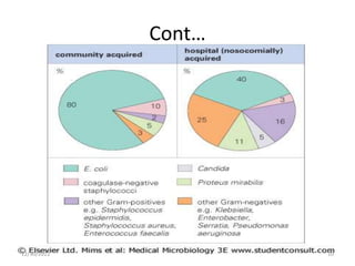 Cont…
12/30/2022 10
 