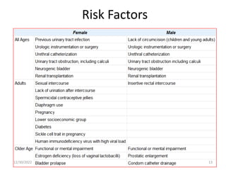 Risk Factors
12/30/2022 13
 