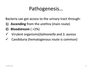 Pathogenesis…
Bacteria can get access to the urinary tract through:
1) Ascending from the urethra (main route)
2) Bloodstream ( <2%)
 Virulent organisms(Salmonella and S. aureus
 Candiduria (hematogenous route is common)
12/30/2022 14
 