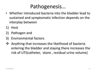 Pathogenesis…
• Whether introduced bacteria into the bladder lead to
sustained and symptomatic infection depends on the
interplay between
1) Host
2) Pathogen and
3) Environmental factors
 Anything that increases the likelihood of bacteria
entering the bladder and staying there increases the
risk of UTI(catheter, stone , residual urine volume)
12/30/2022 15
 