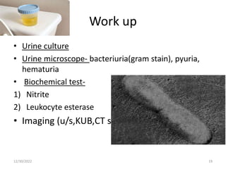 Work up
• Urine culture
• Urine microscope- bacteriuria(gram stain), pyuria,
hematuria
• Biochemical test-
1) Nitrite
2) Leukocyte esterase
• Imaging (u/s,KUB,CT scan)
12/30/2022 19
 