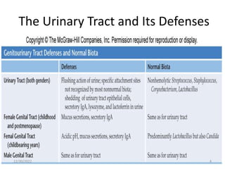 The Urinary Tract and Its Defenses
12/30/2022 4
 