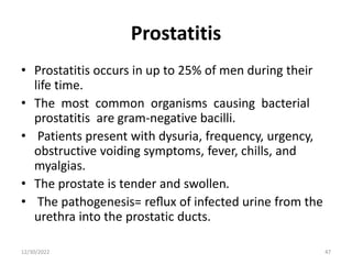 Prostatitis
• Prostatitis occurs in up to 25% of men during their
life time.
• The most common organisms causing bacterial
prostatitis are gram-negative bacilli.
• Patients present with dysuria, frequency, urgency,
obstructive voiding symptoms, fever, chills, and
myalgias.
• The prostate is tender and swollen.
• The pathogenesis= reﬂux of infected urine from the
urethra into the prostatic ducts.
12/30/2022 47
 