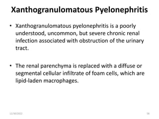 Xanthogranulomatous Pyelonephritis
• Xanthogranulomatous pyelonephritis is a poorly
understood, uncommon, but severe chronic renal
infection associated with obstruction of the urinary
tract.
• The renal parenchyma is replaced with a diffuse or
segmental cellular infiltrate of foam cells, which are
lipid-laden macrophages.
12/30/2022 58
 