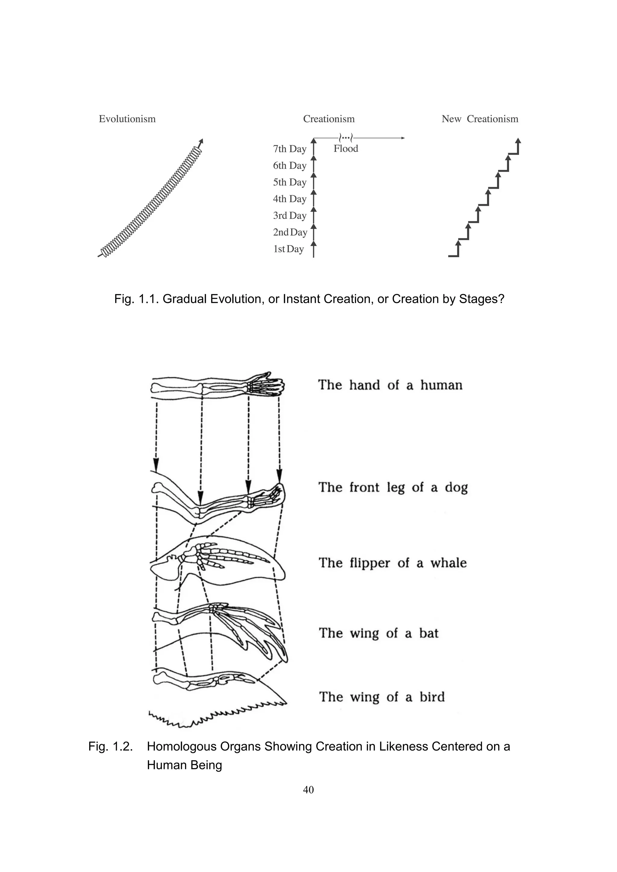 Fig. 1.1. Gradual Evolution, or Instant Creation, or Creation by Stages?




Fig. 1.2.   Homologous Organs Showing Creation in Likeness Centered on a
            Human Being
                                       40
 