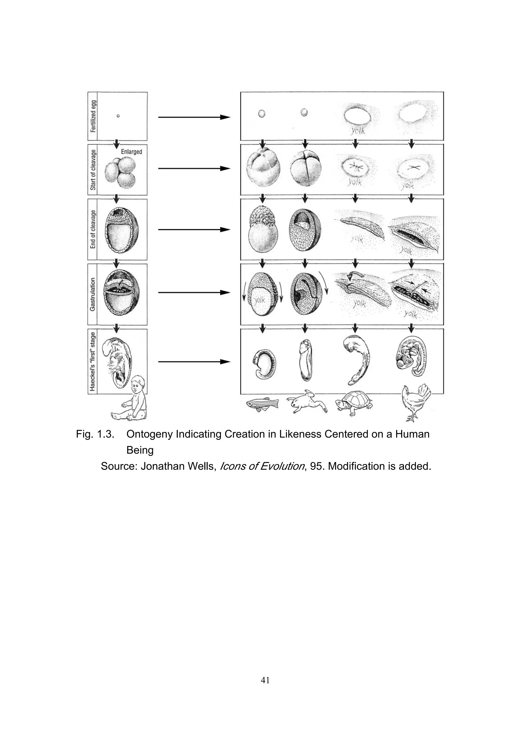 Fig. 1.3. Ontogeny Indicating Creation in Likeness Centered on a Human
          Being
     Source: Jonathan Wells, Icons of Evolution, 95. Modification is added.




                                      41
 