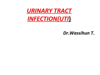 URINARY TRACT
INFECTION(UTI)
Dr.Wassihun T.
 
