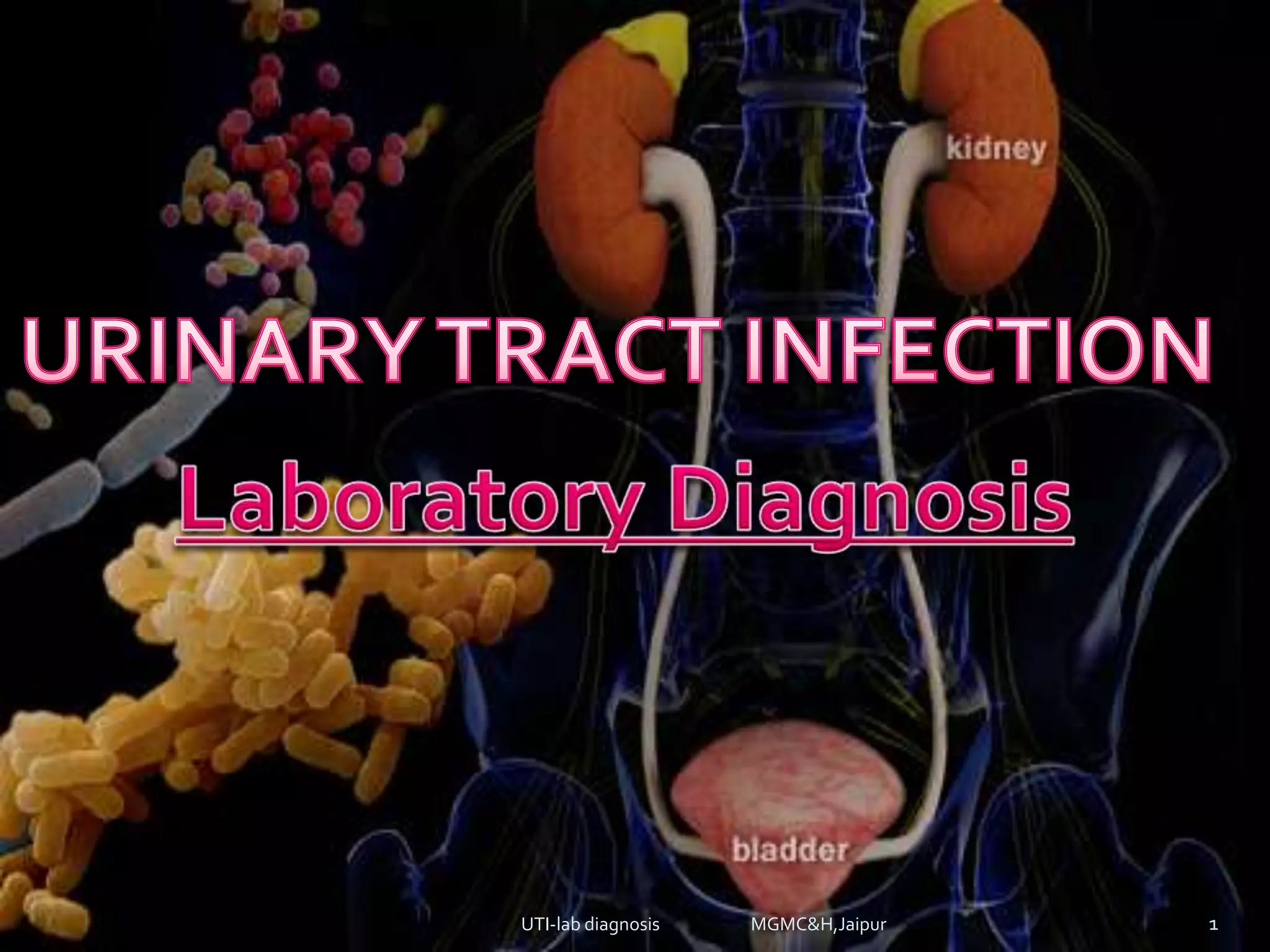 urinary tract infectionsLab diagnosis (e.coli, klebsilla, proteus