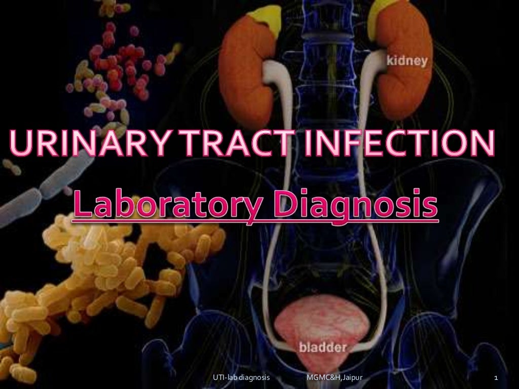 urinary tract infectionsLab diagnosis (e.coli, klebsilla, proteus, p…
