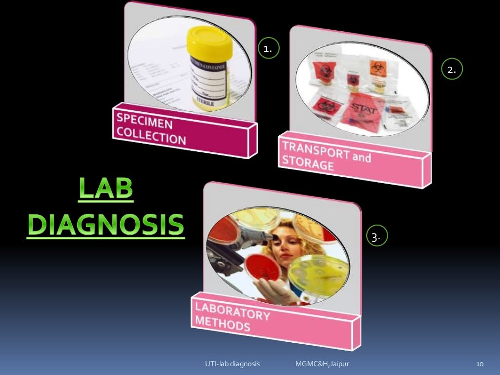 urinary tract infectionsLab diagnosis (e.coli, klebsilla, proteus, p…