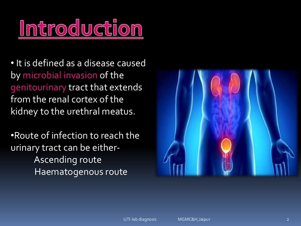 urinary tract infectionsLab diagnosis (e.coli, klebsilla, proteus, p…