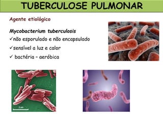 TUBERCULOSE PULMONAR
Agente etiológico
Mycobacterium tuberculosis
não esporulado e não encapsulado
sensível a luz e calor
 bactéria – aeróbica
 