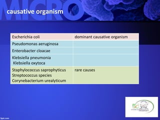 causative organism
Escherichia coli dominant causative organism
Pseudomonas aeruginosa
Enterobacter cloacae
Klebsiella pneumonia
Klebsiella oxytoca
Staphylococcus saprophyticus
Streptococcus species
Corynebacterium urealyticum
rare causes
 