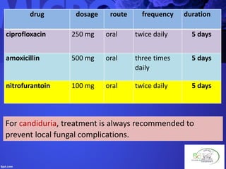 drug dosage route frequency duration
ciprofloxacin 250 mg oral twice daily 5 days
amoxicillin 500 mg oral three times
daily
5 days
nitrofurantoin 100 mg oral twice daily 5 days
For candiduria, treatment is always recommended to
prevent local fungal complications.
 