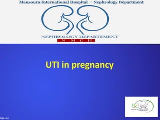 UTI in pregnancy
 