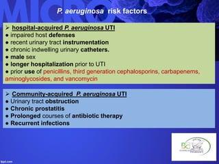P. aeruginosa risk factors
 hospital-acquired P. aeruginosa UTI
● impaired host defenses
● recent urinary tract instrumentation
● chronic indwelling urinary catheters.
● male sex
● longer hospitalization prior to UTI
● prior use of penicillins, third generation cephalosporins, carbapenems,
aminoglycosides, and vancomycin
 Community-acquired P. aeruginosa UTI
● Urinary tract obstruction
● Chronic prostatitis
● Prolonged courses of antibiotic therapy
● Recurrent infections
 