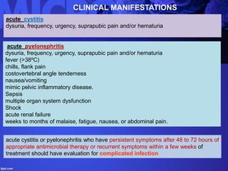 acute pyelonephritis
dysuria, frequency, urgency, suprapubic pain and/or hematuria
fever (>38ºC)
chills, flank pain
costovertebral angle tenderness
nausea/vomiting
mimic pelvic inflammatory disease.
Sepsis
multiple organ system dysfunction
Shock
acute renal failure
weeks to months of malaise, fatigue, nausea, or abdominal pain.
acute cystitis
dysuria, frequency, urgency, suprapubic pain and/or hematuria
CLINICAL MANIFESTATIONS
acute cystitis or pyelonephritis who have persistent symptoms after 48 to 72 hours of
appropriate antimicrobial therapy or recurrent symptoms within a few weeks of
treatment should have evaluation for complicated infection
 