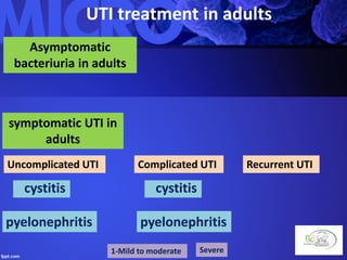 UTI treatment in adults
Asymptomatic
bacteriuria in adults
symptomatic UTI in
adults
Uncomplicated UTI Complicated UTI Recurrent UTI
cystitis
pyelonephritis
cystitis
pyelonephritis
1-Mild to moderate Severe
 