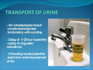 All collected specimens of  urine to be transported to laboratory with out delay Delay of  1-2  hour lowers the quality of diagnostic  evaluations. If the delay is anticipated the specimens  are to be preserved  at 4 0 c . 