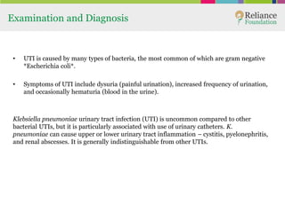 Examination and Diagnosis
• UTI is caused by many types of bacteria, the most common of which are gram negative
*Escherichia coli*.
• Symptoms of UTI include dysuria (painful urination), increased frequency of urination,
and occasionally hematuria (blood in the urine).
Klebsiella pneumoniae urinary tract infection (UTI) is uncommon compared to other
bacterial UTIs, but it is particularly associated with use of urinary catheters. K.
pneumoniae can cause upper or lower urinary tract inflammation – cystitis, pyelonephritis,
and renal abscesses. It is generally indistinguishable from other UTIs.
 