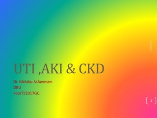 UTI ,AKI & CKD
Dr. Melaku Asfawesen
DBU
Feb/7/2017GC.
2/4/2023
1
 