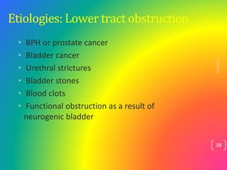 Etiologies: Lower tract obstruction
• BPH or prostate cancer
• Bladder cancer
• Urethral strictures
• Bladder stones
• Blo...
