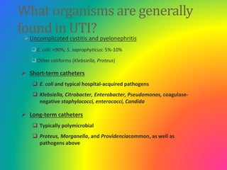What organisms are generally
found in UTI?
Uncomplicated cystitis and pyelonephritis
 E. coli: >90%; S. saprophyticus: 5...