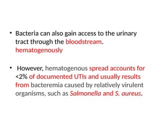 • Bacteria can also gain access to the urinary
tract through the bloodstream.
hematogenously
• However, hematogenous spread accounts for
<2% of documented UTIs and usually results
from bacteremia caused by relatively virulent
organisms, such as Salmonella and S. aureus.
 