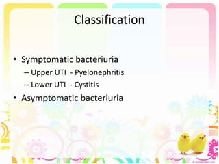 Classification
• Symptomatic bacteriuria
– Upper UTI - Pyelonephritis
– Lower UTI - Cystitis
• Asymptomatic bacteriuria
 
