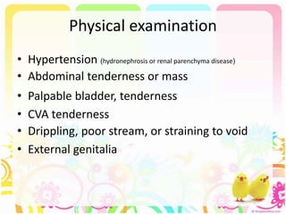Physical examination
• Hypertension (hydronephrosis or renal parenchyma disease)
• Abdominal tenderness or mass
• Palpable bladder, tenderness
• CVA tenderness
• Drippling, poor stream, or straining to void
• External genitalia
 