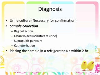 Diagnosis
• Urine culture (Necessary for confirmation)
• Sample collection
– Bag collection
– Clean voided (Midstream urine)
– Suprapubic puncture
– Catheterization
• Placing the sample in a refrigerator 4 c within 2 hr
 