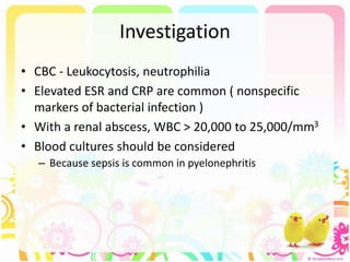 Investigation
• CBC - Leukocytosis, neutrophilia
• Elevated ESR and CRP are common ( nonspecific
markers of bacterial infection )
• With a renal abscess, WBC > 20,000 to 25,000/mm3
• Blood cultures should be considered
– Because sepsis is common in pyelonephritis
 