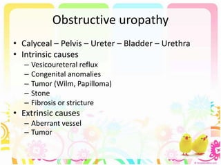 Obstructive uropathy
• Calyceal – Pelvis – Ureter – Bladder – Urethra
• Intrinsic causes
– Vesicoureteral reflux
– Congenital anomalies
– Tumor (Wilm, Papilloma)
– Stone
– Fibrosis or stricture
• Extrinsic causes
– Aberrant vessel
– Tumor
 