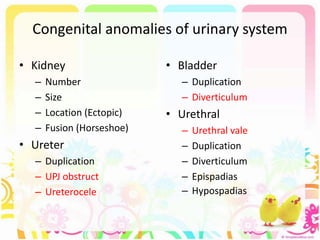 Congenital anomalies of urinary system
• Kidney
– Number
– Size
– Location (Ectopic)
– Fusion (Horseshoe)
• Ureter
– Duplication
– UPJ obstruct
– Ureterocele
• Bladder
– Duplication
– Diverticulum
• Urethral
– Urethral vale
– Duplication
– Diverticulum
– Epispadias
– Hypospadias
 