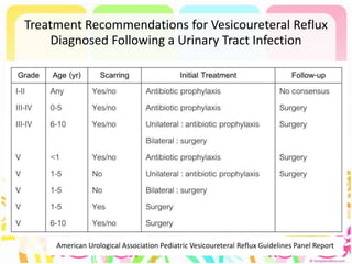Treatment Recommendations for Vesicoureteral Reflux
Diagnosed Following a Urinary Tract Infection
American Urological Association Pediatric Vesicoureteral Reflux Guidelines Panel Report
 