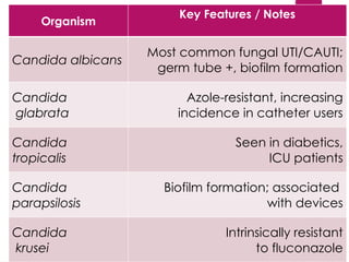 UTI_CAUTI_Microbiology_Detailed_Presentation (1).pptx