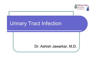 Urinary Tract Infection

Dr. Ashish Jawarkar, M.D.

 
