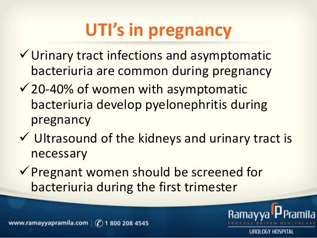 Furadantin Pregnancy