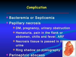Complication Bacteremia or Septicemia Papillary necrosis DM, pregnancy, urinary obstruction Hematuria, pain in the flank or abdomen, chills and fever, ARF Necrosis tissue is passed in the urine Ring shadow on pyelography Perinephric abscess 